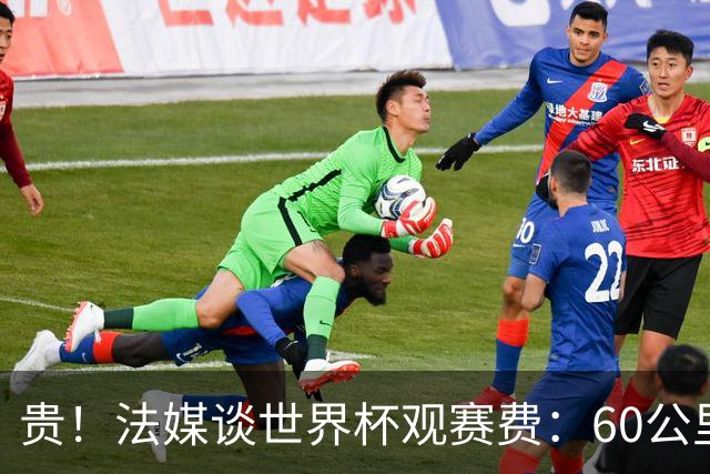 贵！法媒谈世界杯观赛费：60公里火车98美元，有人4天花4500欧元